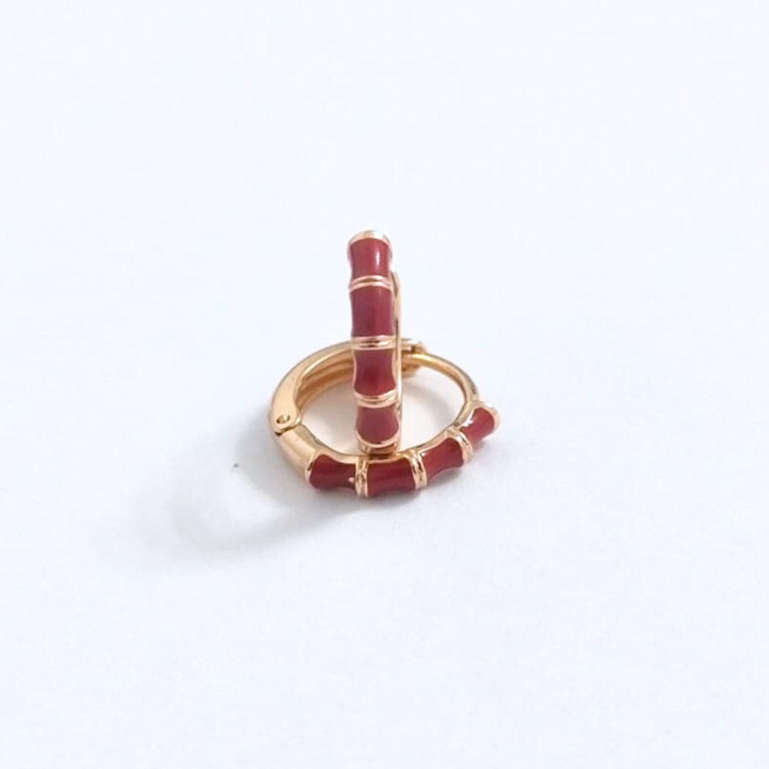 Arete cerrado con detalles de color